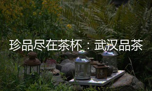 探秘武汉茶道：茶香与心灵的和谐